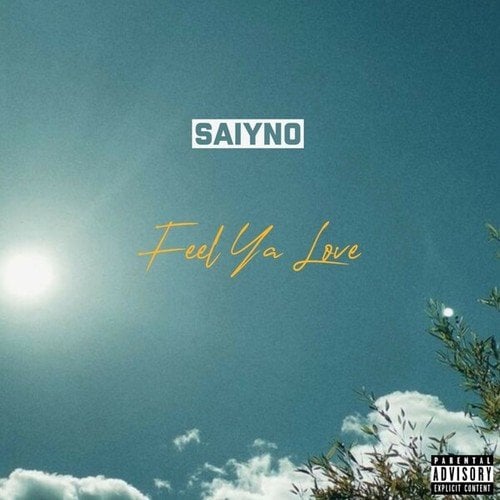 Saiyno-Feel Ya Love