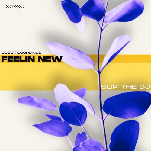 Slip The DJ-Feelin New