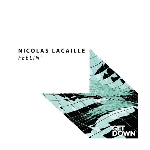 Nicolas Lacaille-Feelin'