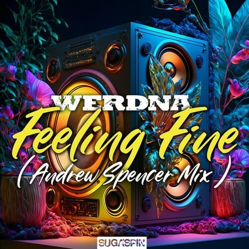 WERDNA, Andrew Spencer-Feeling Fine (Andrew Spencer Mix)
