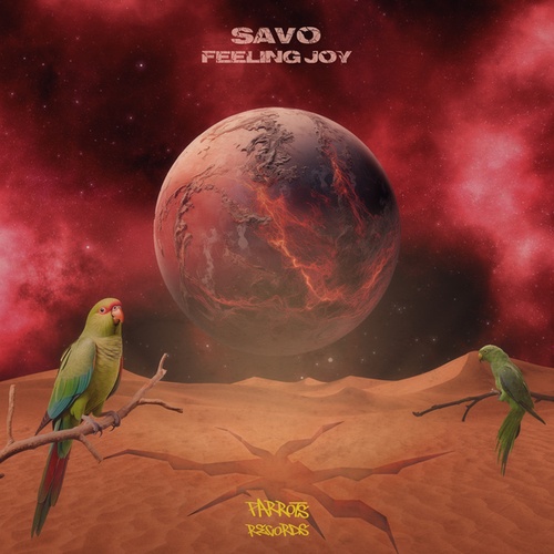 Savo-Feeling Joy