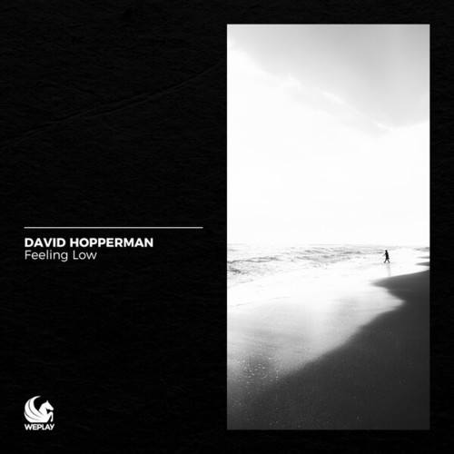 David Hopperman-Feeling Low