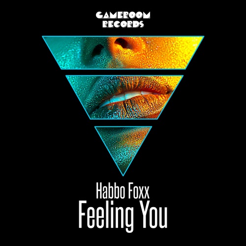 HABBO FOXX-Feeling You
