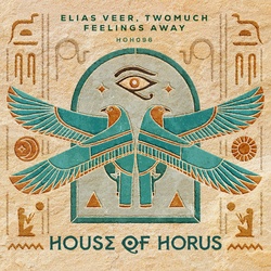 Feelings Away - Elias Veer, TwoMuch