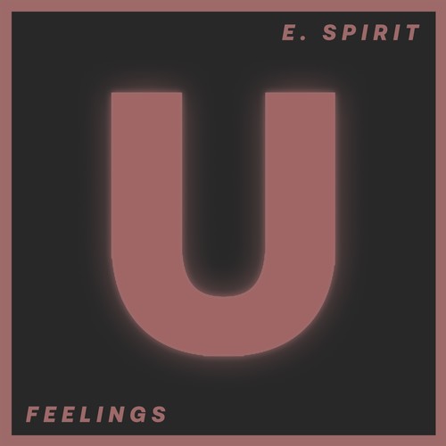 E. Spirit-Feelings