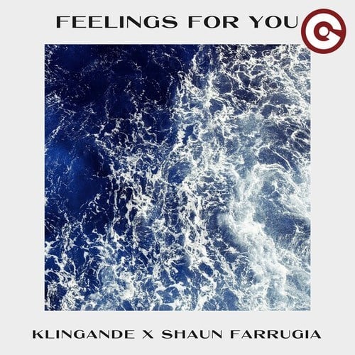 Feelings for You