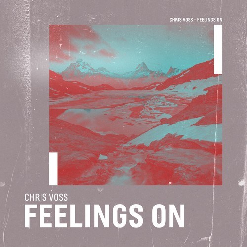 Chris Voss-Feelings On