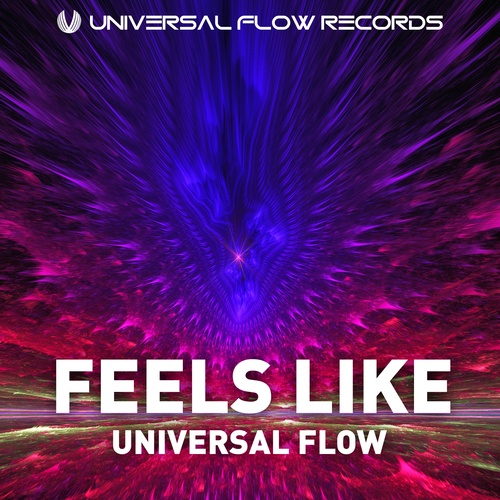 Universal Flow-Feels Like