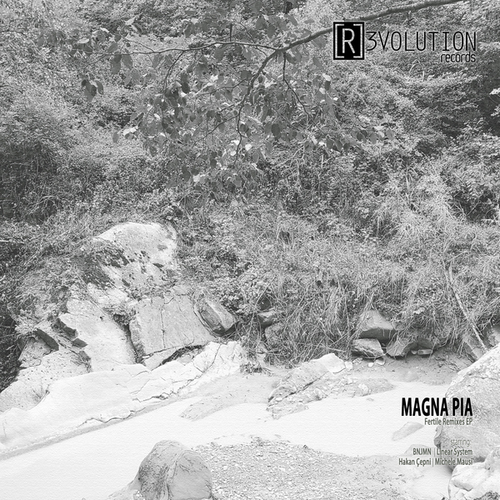 Magna Pia, BNJMN, Linear System, Hakan Çepni, Michele Mausi-Fertile Remixes EP