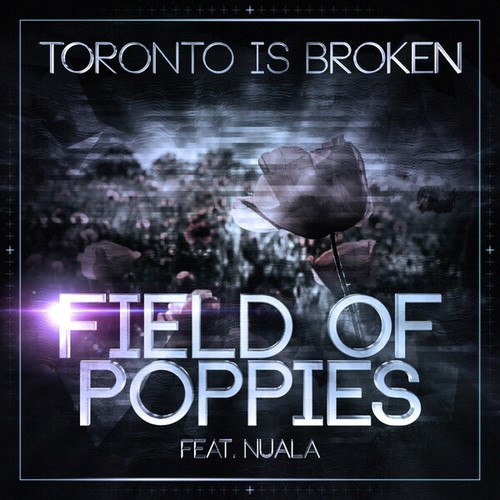 Toronto Is Broken, Nuala, Furney-Field Of Poppies