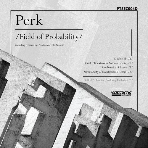 Perk, Marcelo Antonio, Naidö-Field Of Probabilty EP