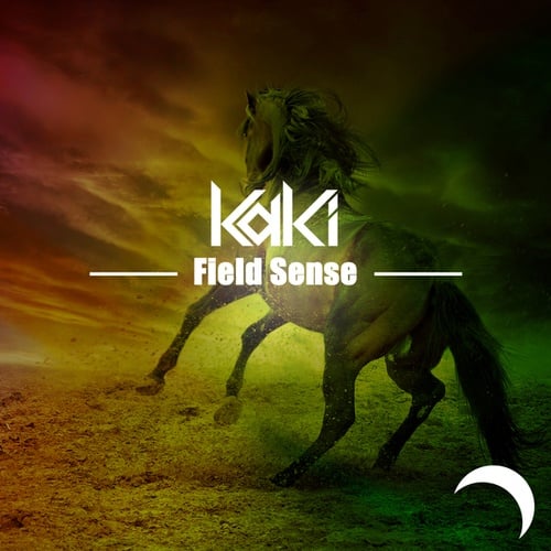 KaKi-Field Sense