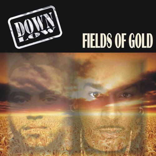 Down Low-Fields of Gold