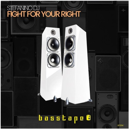 Stefanino DJ-Fight for Your Right