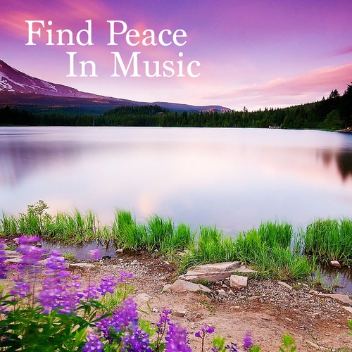 Find Peace In Music