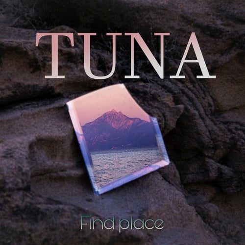 Find Place