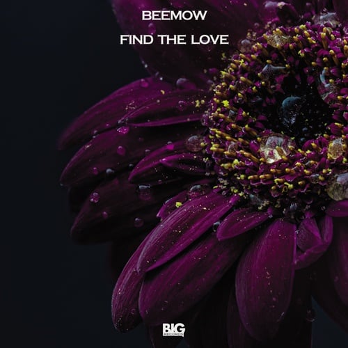 Beemow-Find The Love