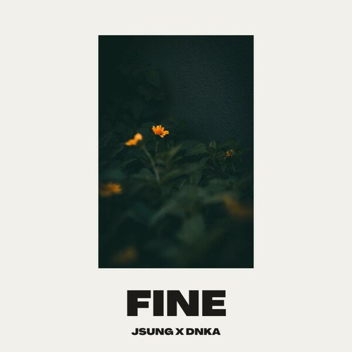 Jsung, DNKA-Fine