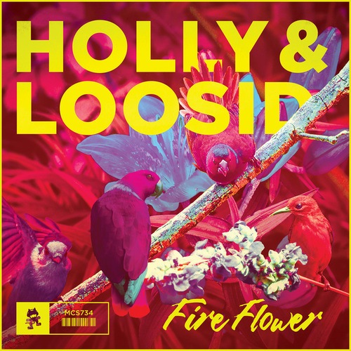 Holly, Loosid-Fire Flower