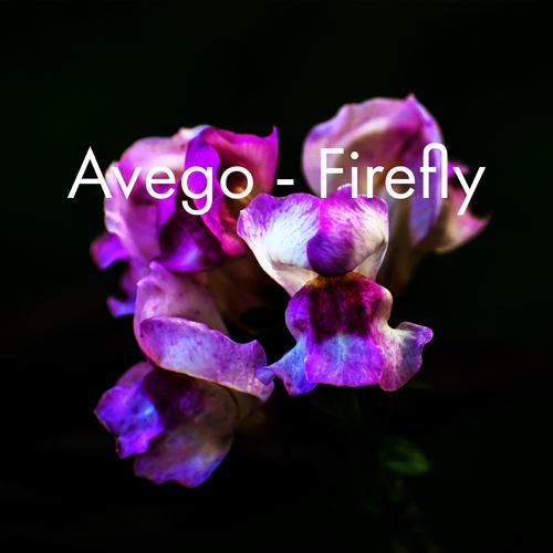 Avego-Firefly