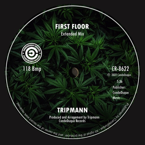 Tripmann-First Floor