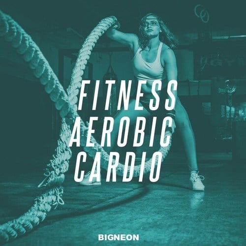 Various Artists-Fitness Aerobic Cardio