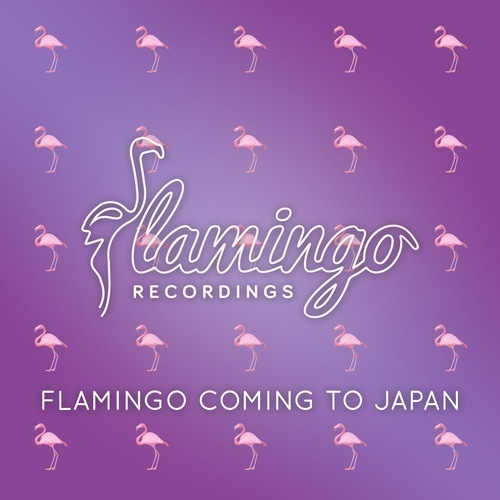 Flamingo Coming To Japan
