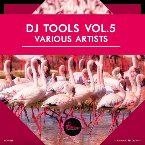 Various Artists-Flamingo DJ Tools vol.5