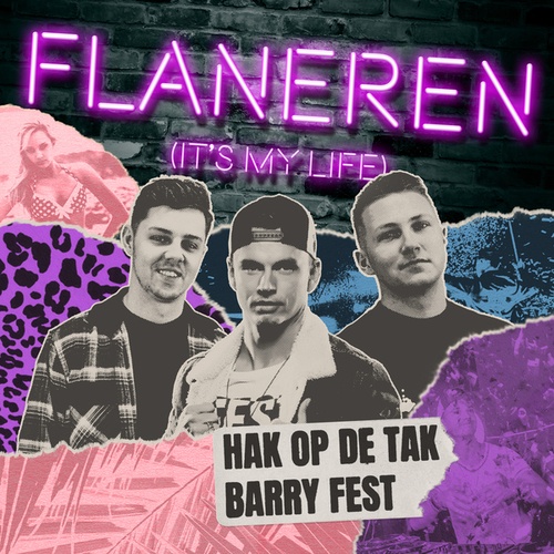 Hak Op De Tak, Barry Fest-Flaneren (It's My Life)