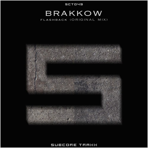BRAKKOW-Flashback (Original Mix)