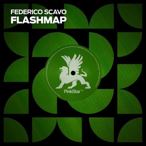Federico Scavo-Flashmap