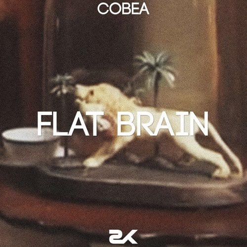 Flat Brain
