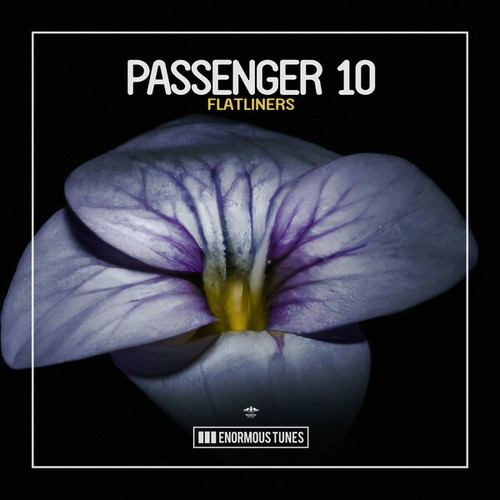 Passenger 10-Flatliners