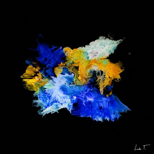 Minorah-Fleur Bleue