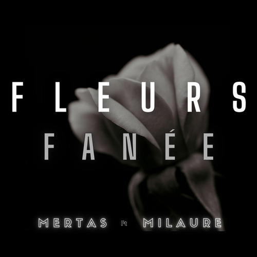 MERTAS, MILAURE-FLEURES FANEE