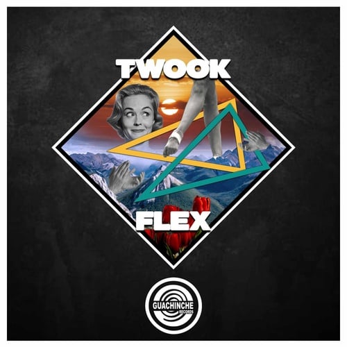 Twook-Flex