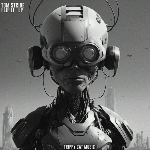 Tom Stride-Flip It Ep