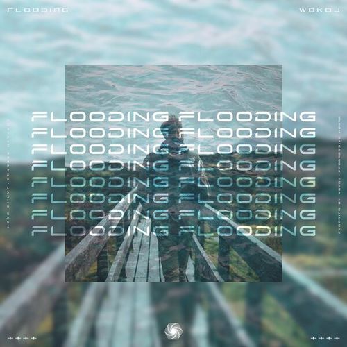 Wbkdj, 漩涡唱片丨Vortexn Records-Flooding
