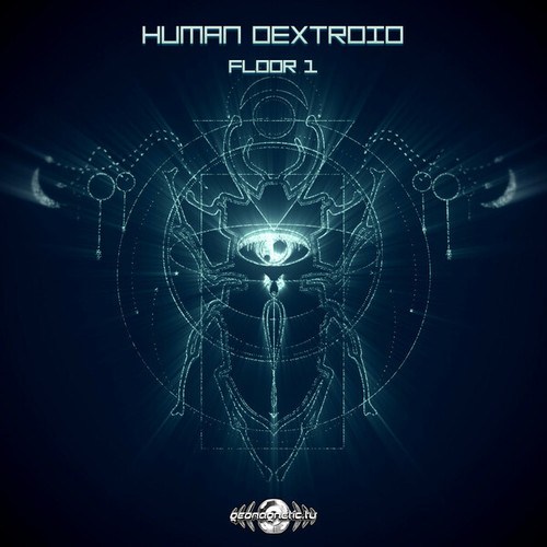 Human Dextroid-Floor 1