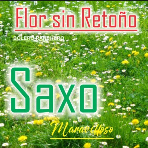 Flor Sin Retoño