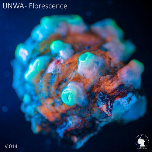UNWA-Florescence