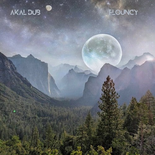 Akal Dub-Flouncy