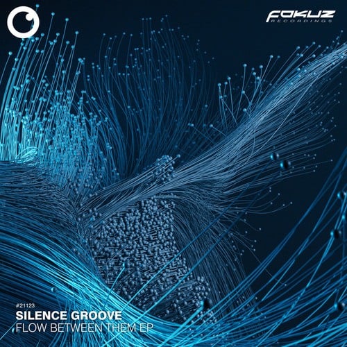 Silence Groove-Flow Between Them EP