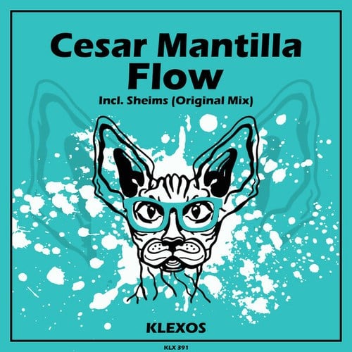 Cesar Mantilla-Flow