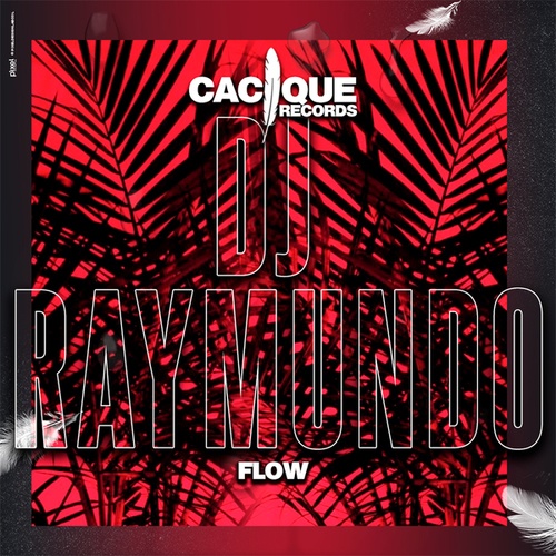 DJ Raymundo-Flow