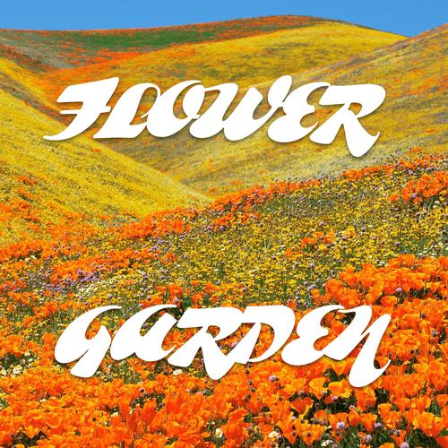 DREAMIN ON DRUGZ-Flower Garden