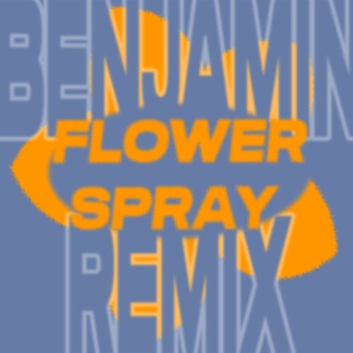 Flower Spray