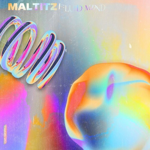 Maltitz-Fluid Mind EP