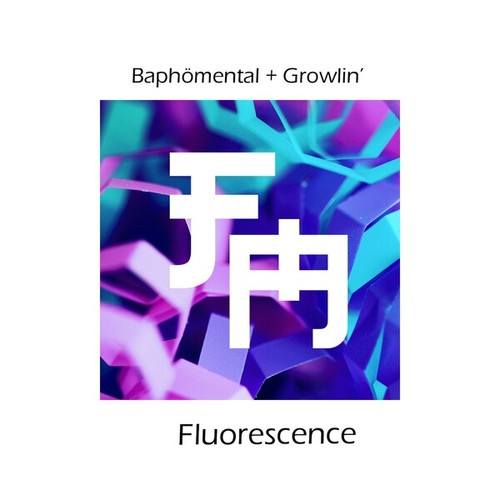 Fluorescence