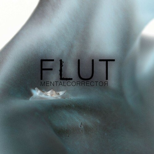 MENTALCORRECTOR-Flut